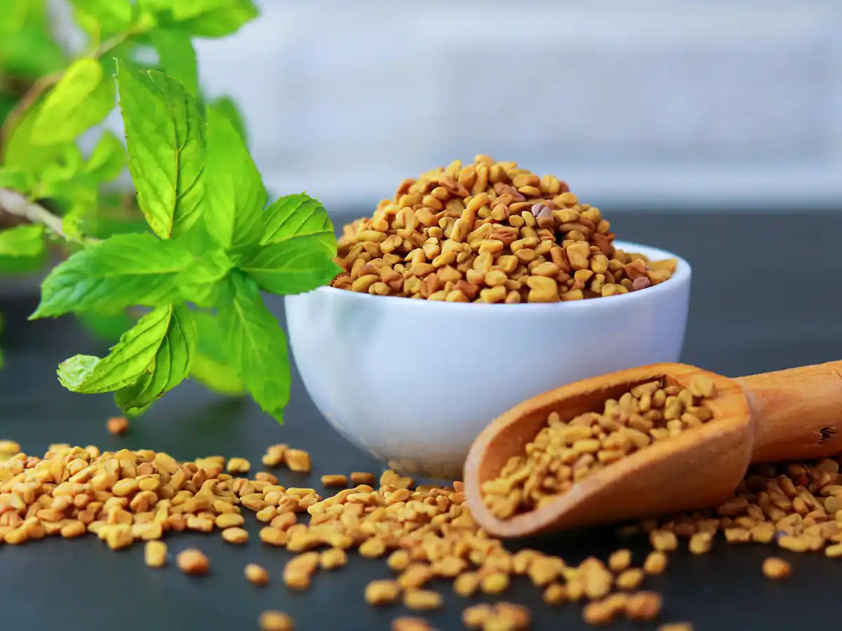 خواص شنبلیله دکتر خیراندیش طب سنتی