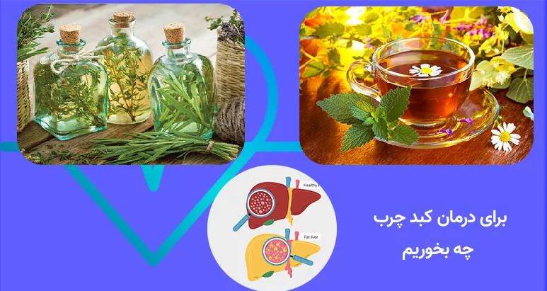 درمان و پاکسازی کبد چرب در طب سنتی