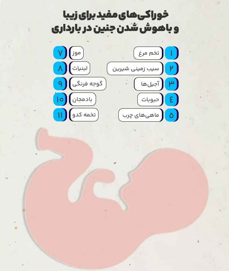 ما می‌دانیم که رشد شناختی کودک از درون شکم مادر شروع می‌شود. مطالعات نشان می‌دهد غذایی که مادر در دوران بارداری مصرف می‌کند، روی هوش و زیبایی کودک موثر است. امروزه اکثر متخصصان توصیه می‌کنند تا مادران باردار از مکمل‌های ویتامین D، اسیدفولیک، آهن و غذاهای مفید استفاده کنند تا کودک بهتر رشد کند و با کمبود ویتامین و مواد معدنی روبرو نشود.