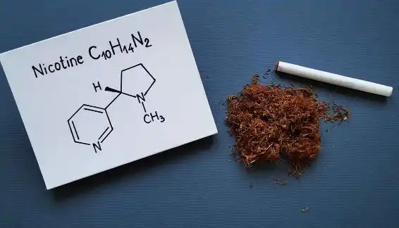 نیکوتین، ماده‌ ای که در دل گیاه تنباکو نهفته است، نه تنها به دلیل خواص اعتیادآور خود شناخته شده، بلکه به خاطر تاثیرات مخرب و گسترده‌ای که بر سلامت انسان می‌گذارد، همواره مورد توجه و بحث بوده است و این ترکیب آلی نیتروژن‌دار، محرکی قوی برای سیستم عصبی بوده و مصرف آن می‌تواند به وابستگی شدیدی منجر شود.